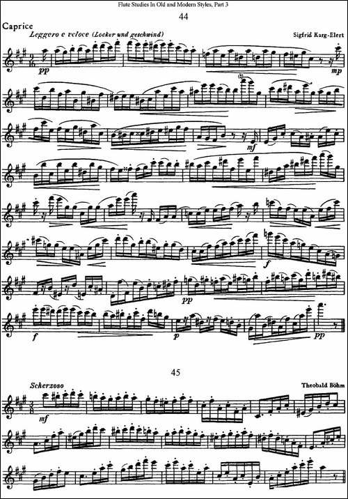 斯勒新老风格长笛练习重奏曲-第三-NO.44-NO.45-长笛五线谱|长笛谱