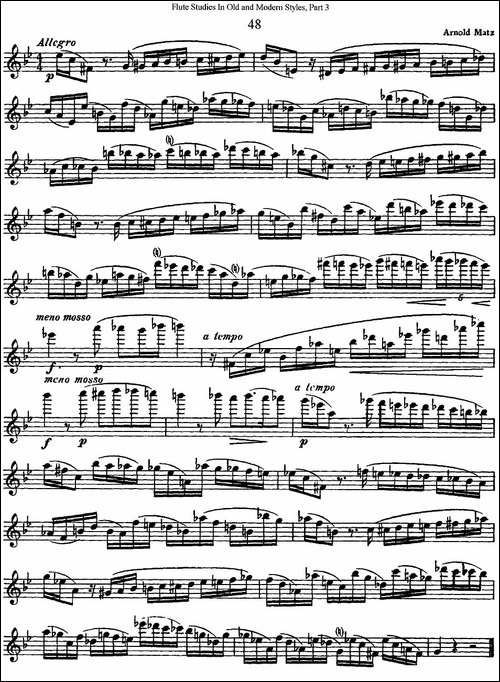 斯勒新老风格长笛练习重奏曲-第三-NO.48-长笛五线谱|长笛谱
