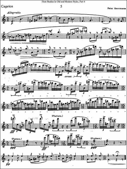 斯勒新老风格长笛练习重奏曲-第四-NO.5-长笛五线谱|长笛谱