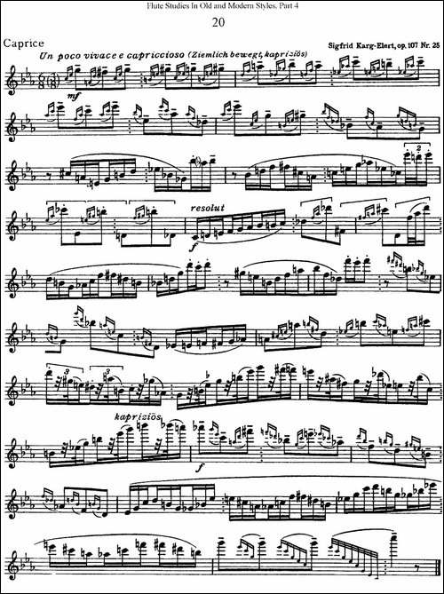 斯勒新老风格长笛练习重奏曲-第四-NO.20-长笛五线谱|长笛谱