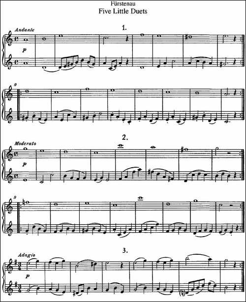 福斯特劳长笛重奏5小段-长笛五线谱|长笛谱