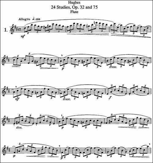 胡埃斯24首练习曲Op.32-NO.1-长笛五线谱|长笛谱