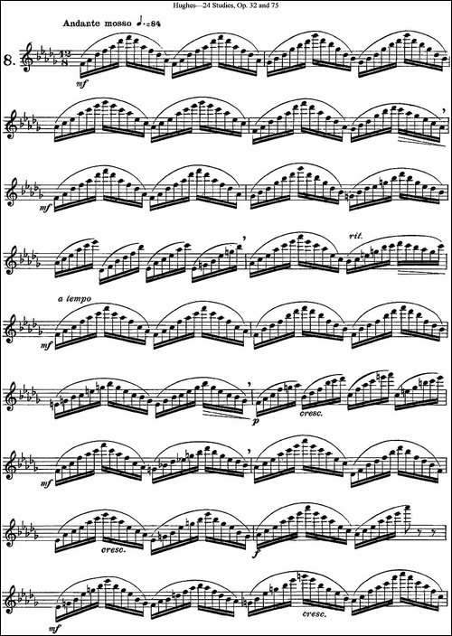 胡埃斯24首长笛练习曲Op.32-NO.8-长笛五线谱|长笛谱