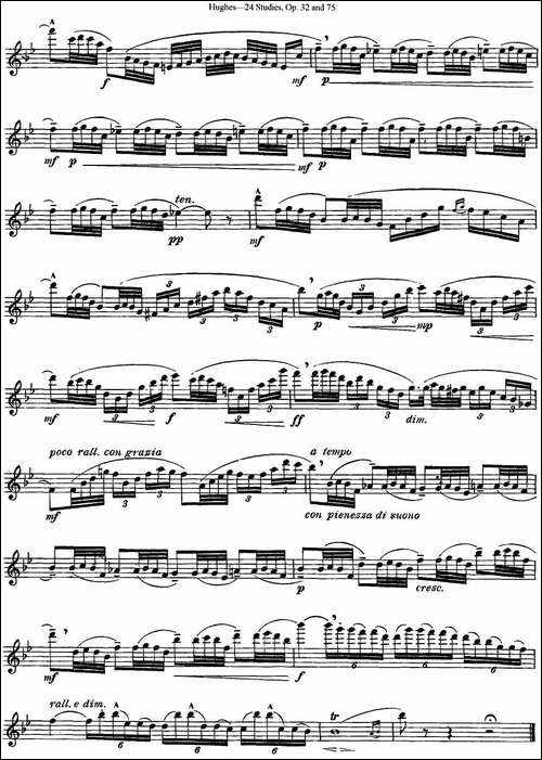 胡埃斯24首长笛练习曲Op.32-NO.17-长笛五线谱|长笛谱