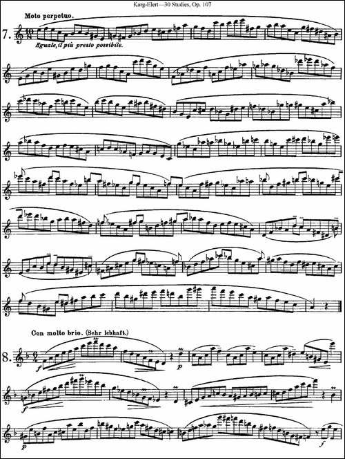 卡-伊勒特30首长笛练习曲Op.107-NO.4-NO.9-长笛五线谱|长笛谱