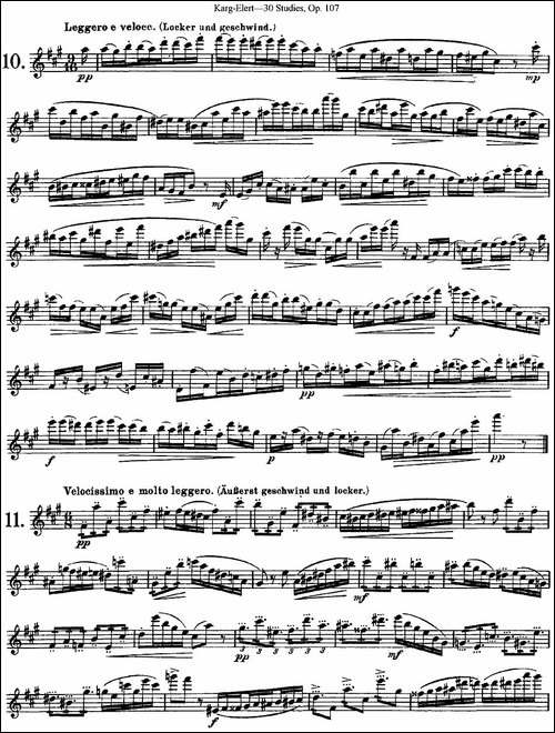 卡-伊勒特30首长笛练习曲Op.107-NO.10-NO.12-长笛五线谱|长笛谱
