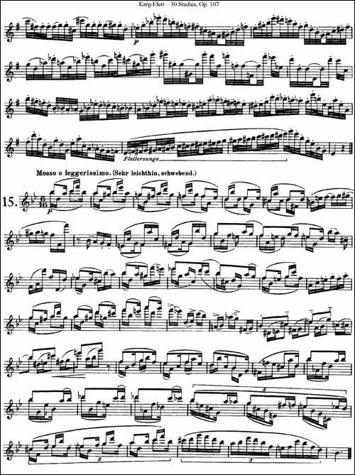 卡-伊勒特30首长笛练习曲Op.107-NO.13-NO.15-长笛五线谱|长笛谱