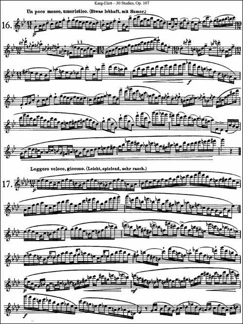 卡-伊勒特30首长笛练习曲Op.107-NO.16-NO.18-长笛五线谱|长笛谱