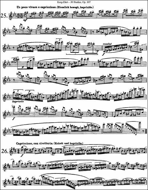 卡-伊勒特30首长笛练习曲Op.107-NO.25-NO.27-长笛五线谱|长笛谱