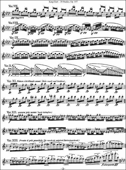 卡-伊勒特30首长笛练习曲Op.107-NO.28-NO.30-长笛五线谱|长笛谱
