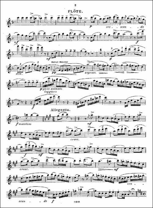 Opern-Transcriptionen.Op.45-3-长笛五线谱|长笛谱