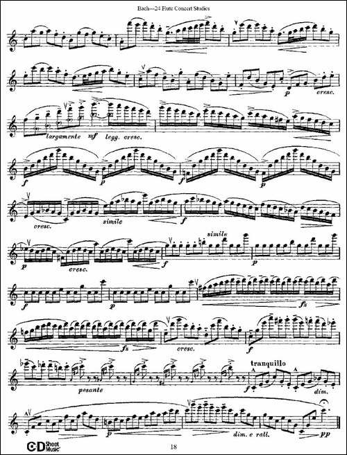 Bach-24-Flutc-Concert-Studies-之6—10-巴赫-长笛五线谱|长笛谱