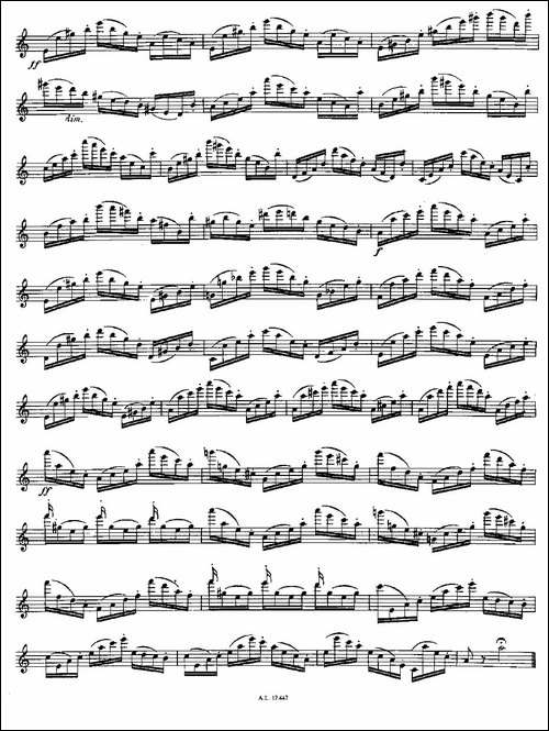 Moyse-25-Studies-after-Czerny-flute-[2]-25-长笛五线谱|长笛谱