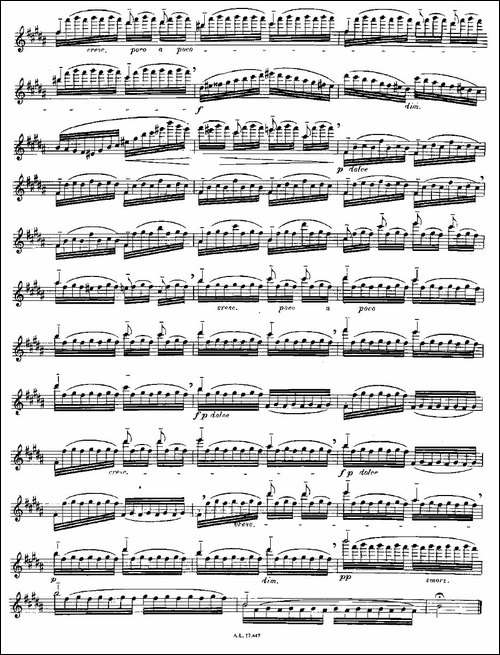 Moyse-25-Studies-after-Czerny-flute-[12]-2-长笛五线谱|长笛谱
