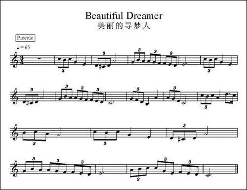 美丽的寻梦人-电子琴谱