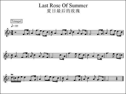 夏日最后的玫瑰-电子琴谱