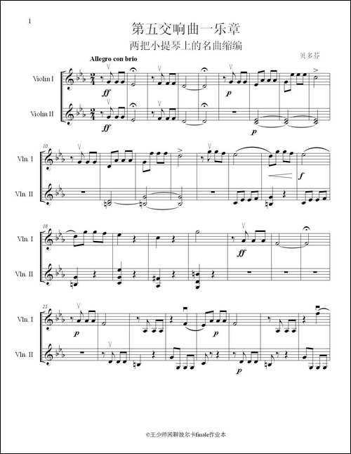 贝多芬第五交响曲一乐章-为两把小提琴的名曲缩编