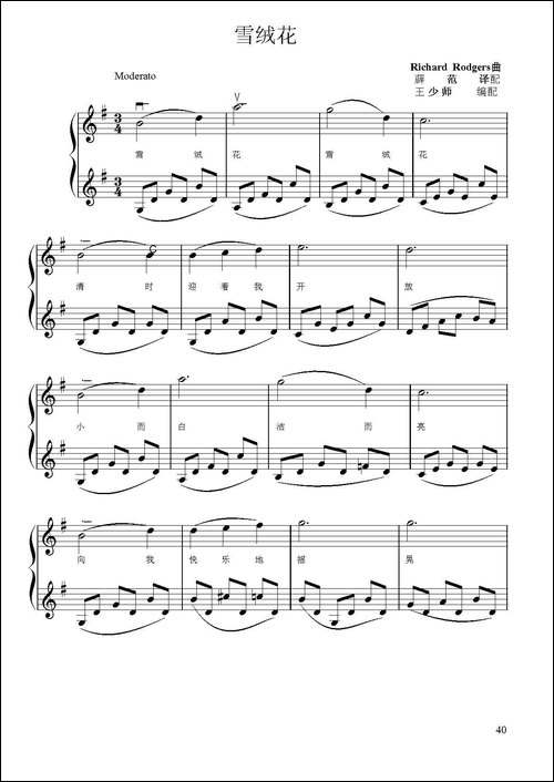 《雪绒花》-小提琴二重奏