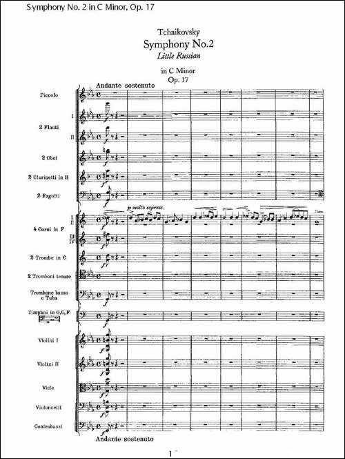 Symphony-No.-2-in-C-Minor,-Op.-17--C小调第二交响曲,-Op.17-其他谱