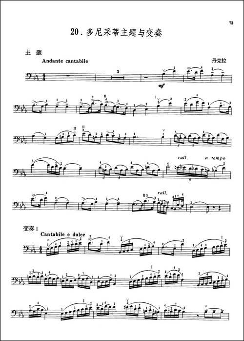 多尼采蒂主题与变奏-大提琴-提琴谱
