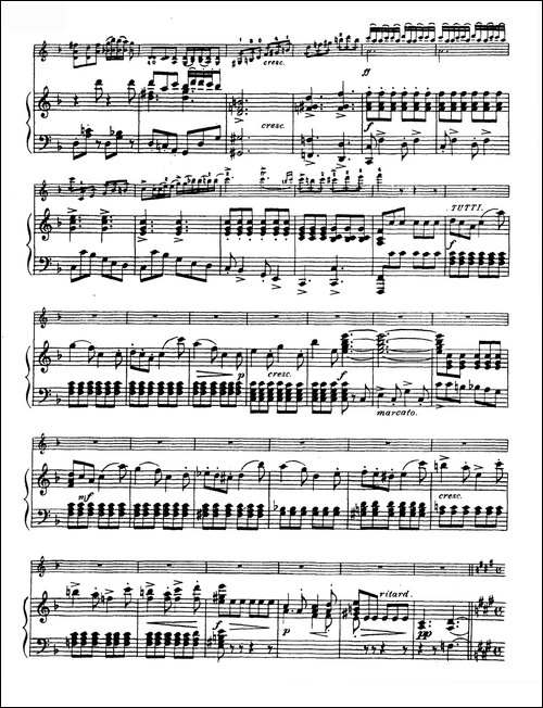 D大调学生协奏曲-塞茨作品第7号-提琴谱