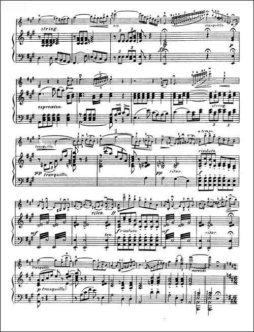 D大调学生协奏曲-塞茨作品第7号-提琴谱