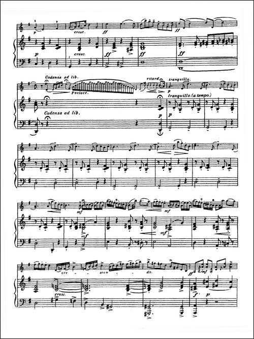 G大调学生协奏曲-塞茨作品第13号-提琴谱