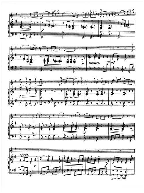 G大调学生协奏曲-塞茨作品第13号-提琴谱