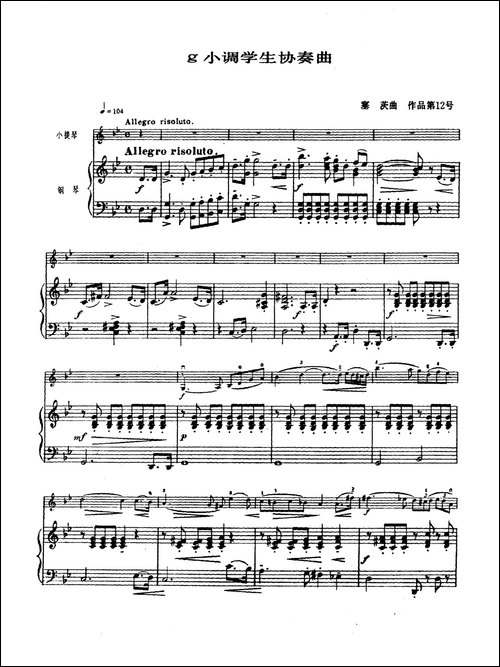 g小调学生协奏曲-塞茨作品第12号-提琴谱