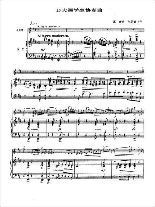 D大调学生协奏曲-塞茨作品第15号-提琴谱